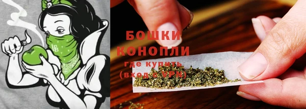 герыч Ленск