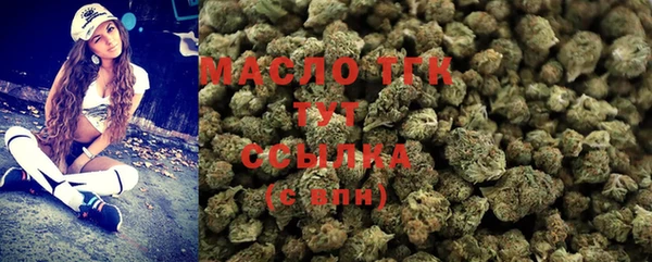 дмт Ленинск