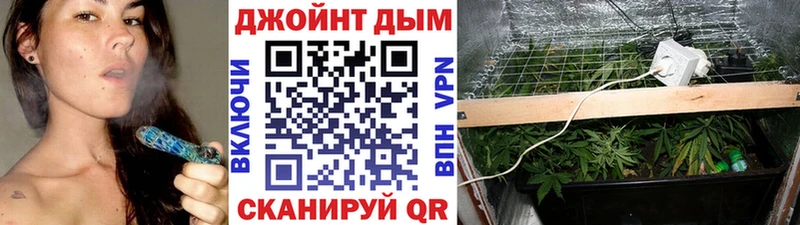 купить наркотики сайты  Динская  Шишки марихуана сатива 